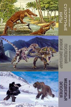 National Geographic. Пути эволюции