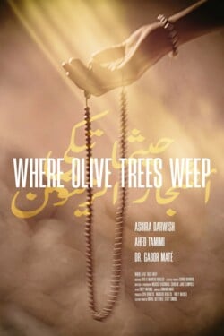 Там, где плачут оливковые деревья